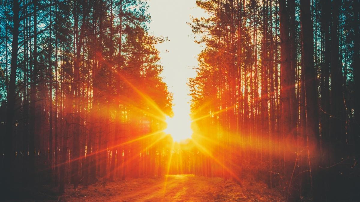 Das Klimaph&auml;nomen La Ni&ntilde;a soll f&uuml;r die&nbsp;ungew&ouml;hnliche Herbsthitze verantwortlich sein. (Foto)