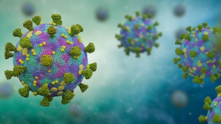 Die 57-Jährige Wei Guixian ist überzeugt: Sie ist Patient Null der Coronavirus-Pandemie.