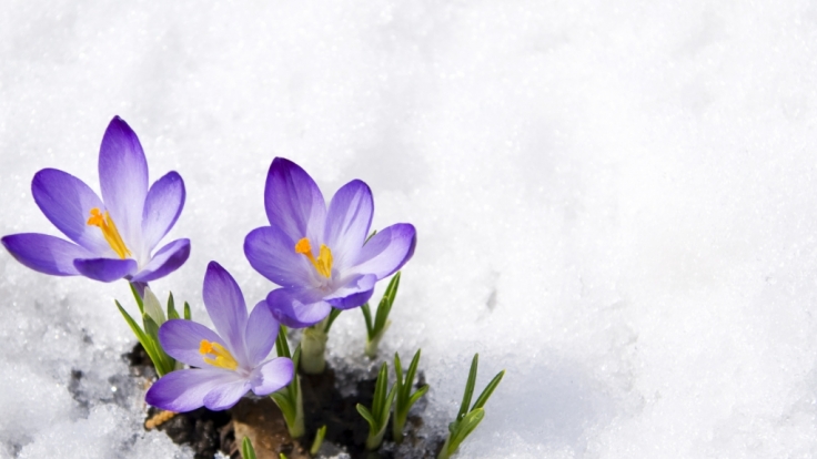 Wetter Im Februar 2017 Aktuell Der Fruhling Kommt Endlich Wird