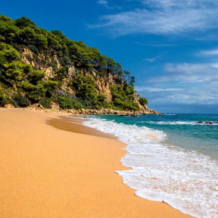 Aktuelle Temperaturen des Mittelmeeres und in Port de Sóller, Sant Jordi, Alcúdia und co. im Überblick