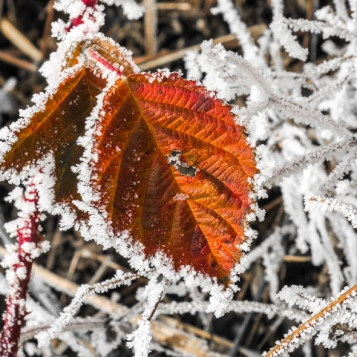 -19 Grad! Polarkälte lässt Deutschland zittern
