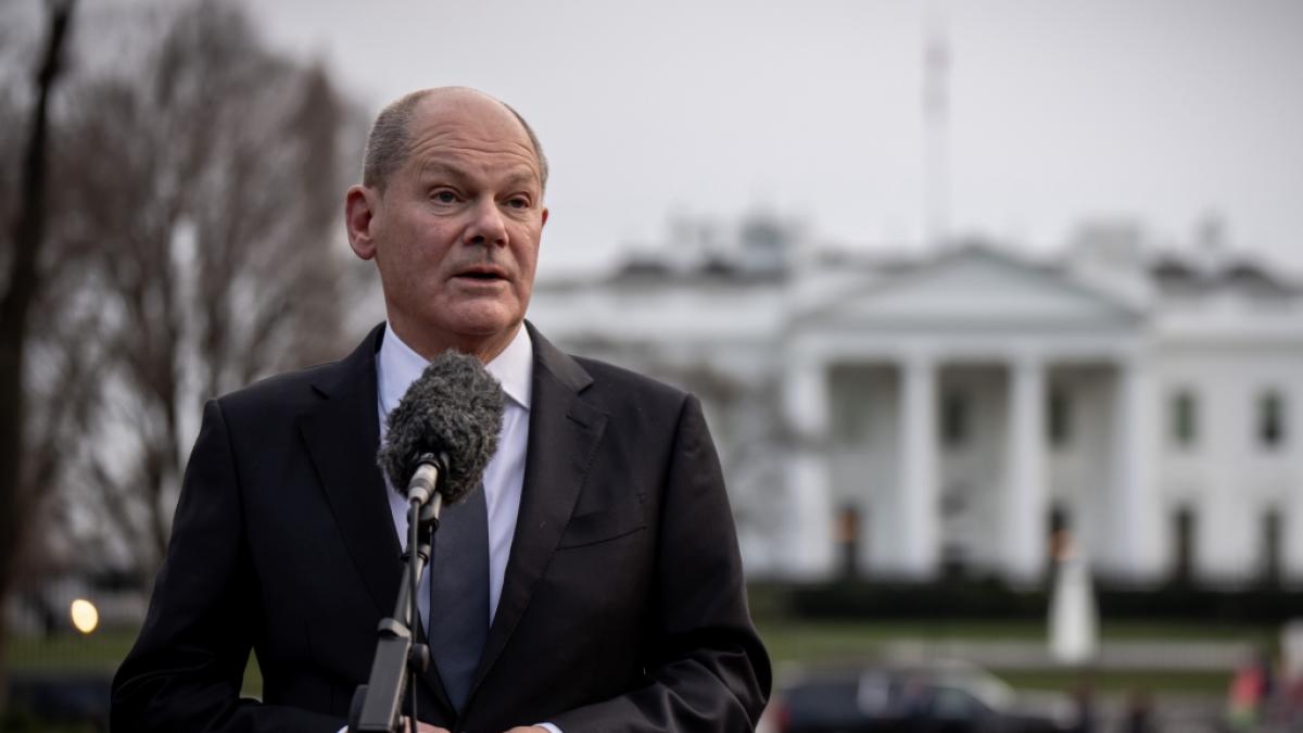 F&uuml;r Olaf Scholz hagelt es im Netz Kritik. (Foto)