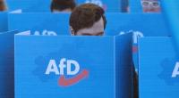 Die AfD könnte die Landtagswahl in Mecklenburg-Vorpommern deutlich gewinnen.