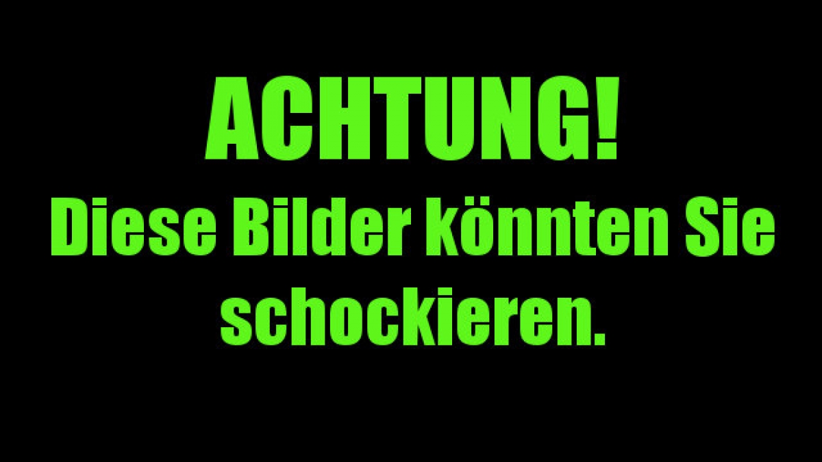Achtung! Der Inhalt könnte Sie verstören. (Foto)