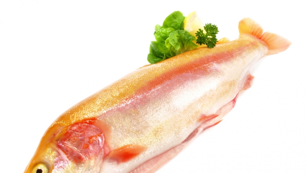 Chemikalien im Fisch? Greenpeace macht eine erschreckende Entdeckung. (Foto)