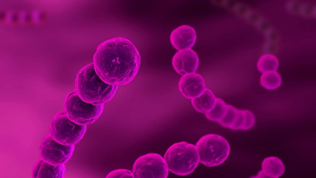Ein Junge starb nach einer Infektion mit A-Streptokokken. (Symbolfoto) (Foto)