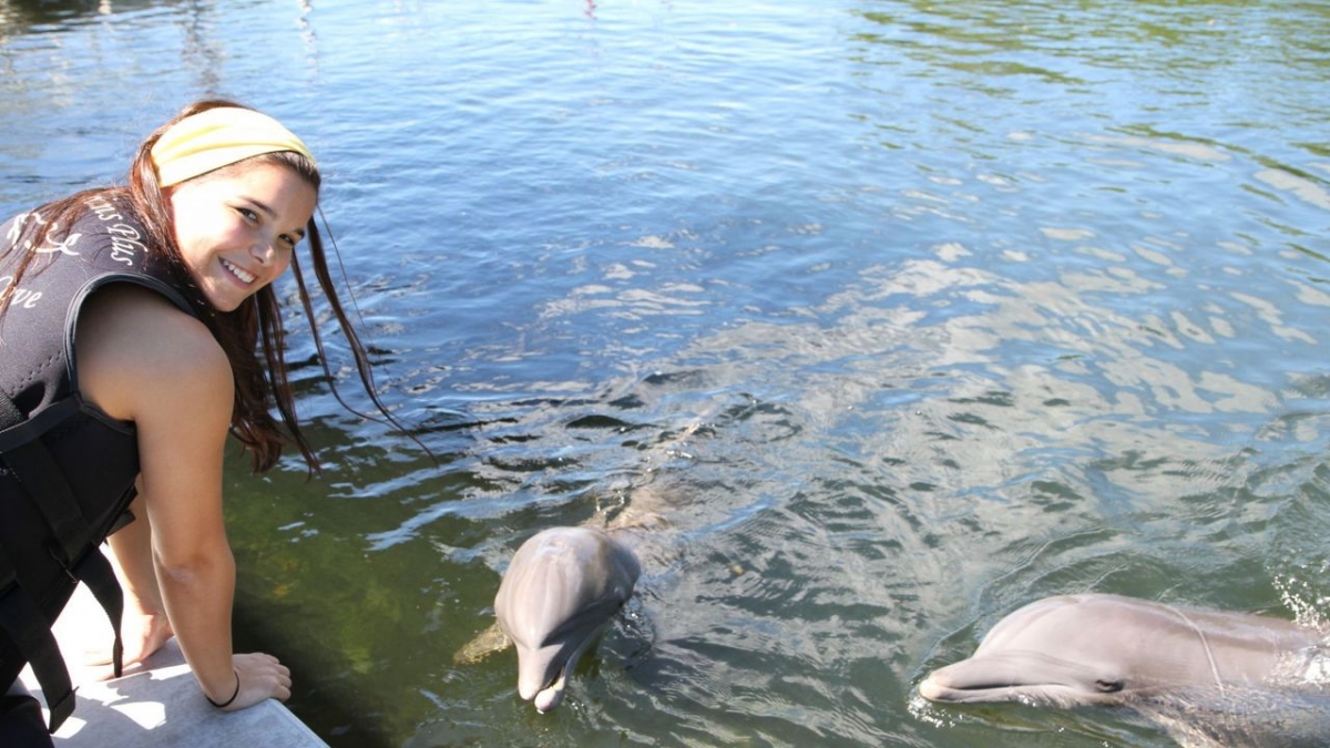 Anna und die wilden Tiere bei Das Erste (Foto)