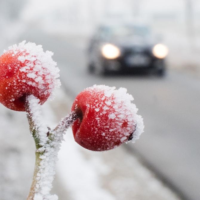 Russen-Peitsche bringt eisige Temperaturen