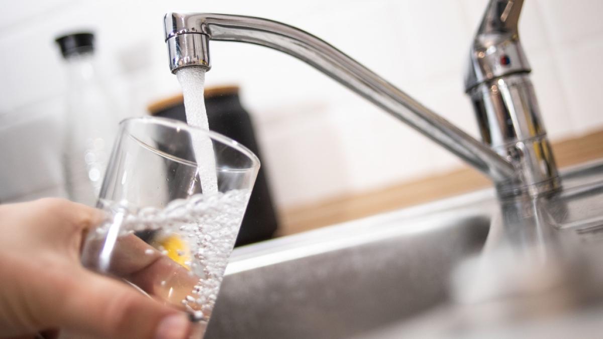 Die im August 2020 grassierende Hitze in Deutschland stellt die Wasserversorgung mancherorts auf eine harte Probe. (Foto)