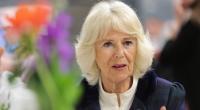 Herzogin Camilla muss den plötzlichen Tod ihres Cousins verkraften: Charles Villiers nahm sich mit 59 Jahren das Leben.