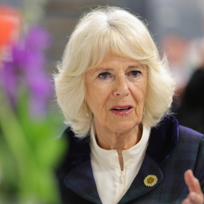 Schock für Herzogin Camilla! Royals-Cousin (59) begeht Suizid
