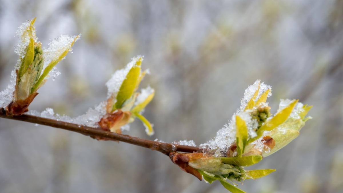 Erneut k&uuml;ndigt sich Schnee in Deutschland an. (Foto)