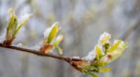 Erneut kündigt sich Schnee in Deutschland an.