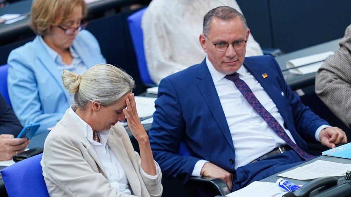 Die AfD-Vorsitzenden Alice Weidel und&nbsp;Tino Chrupalla (Foto)