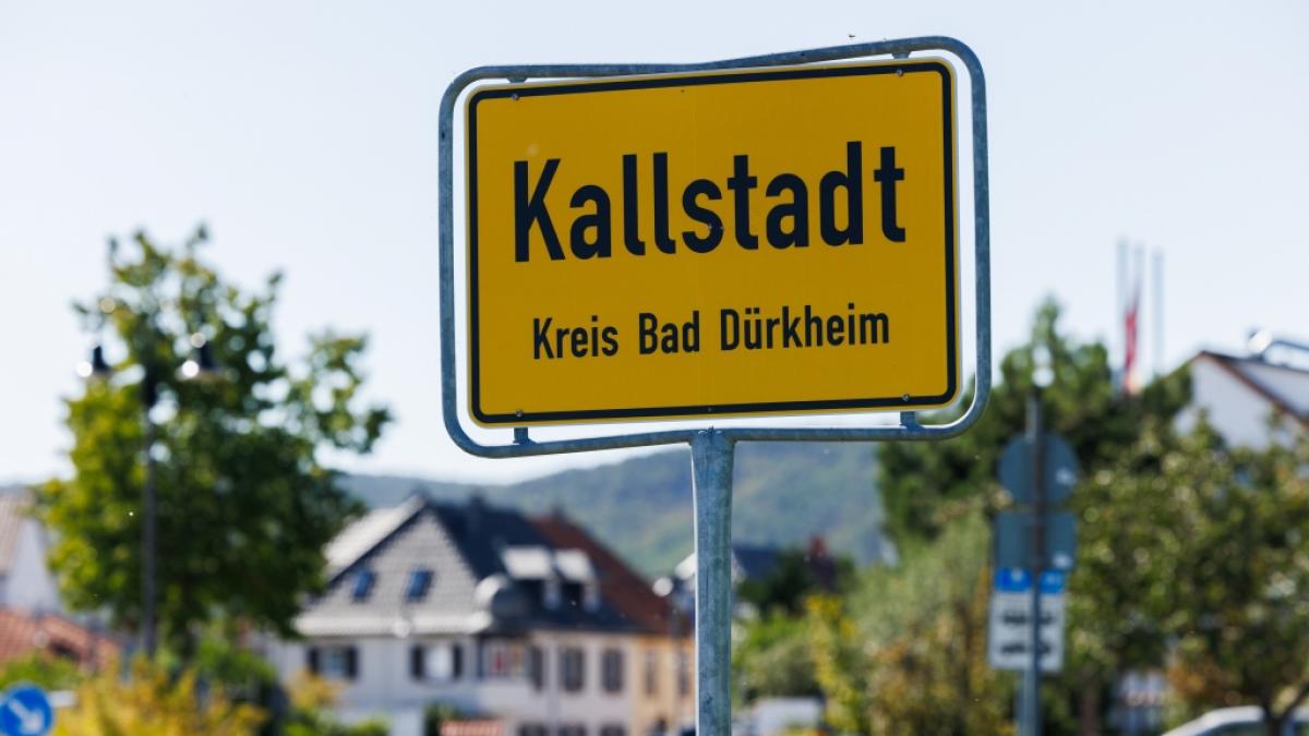 Die AfD h&auml;tte Donald Trump nur zu gern zum Ehrenb&uuml;rger des rheinland-pf&auml;lzischen Landkreises Bad D&uuml;rkheim ernannt - doch im Kreistag scheiterte das Vorhaben krachend. (Foto)