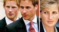 Lady Di hat ihren Söhnen Sex-Heftchen gekauft.