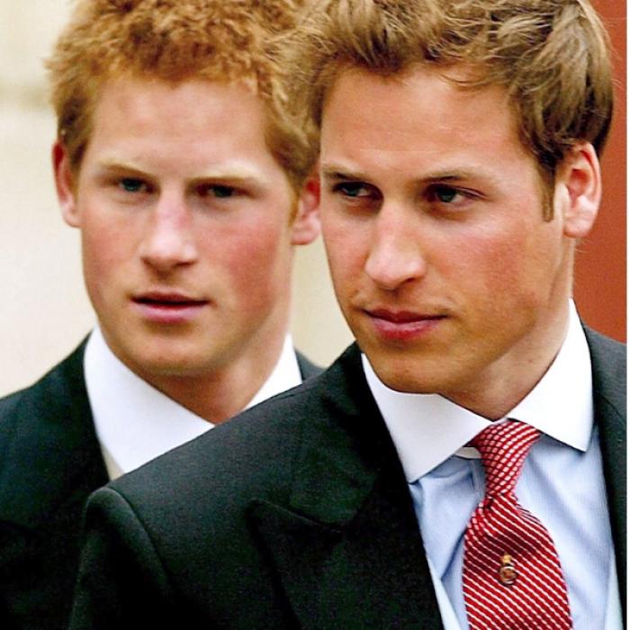 DARUM kaufte Lady Di Sex-Magazine für Harry und William