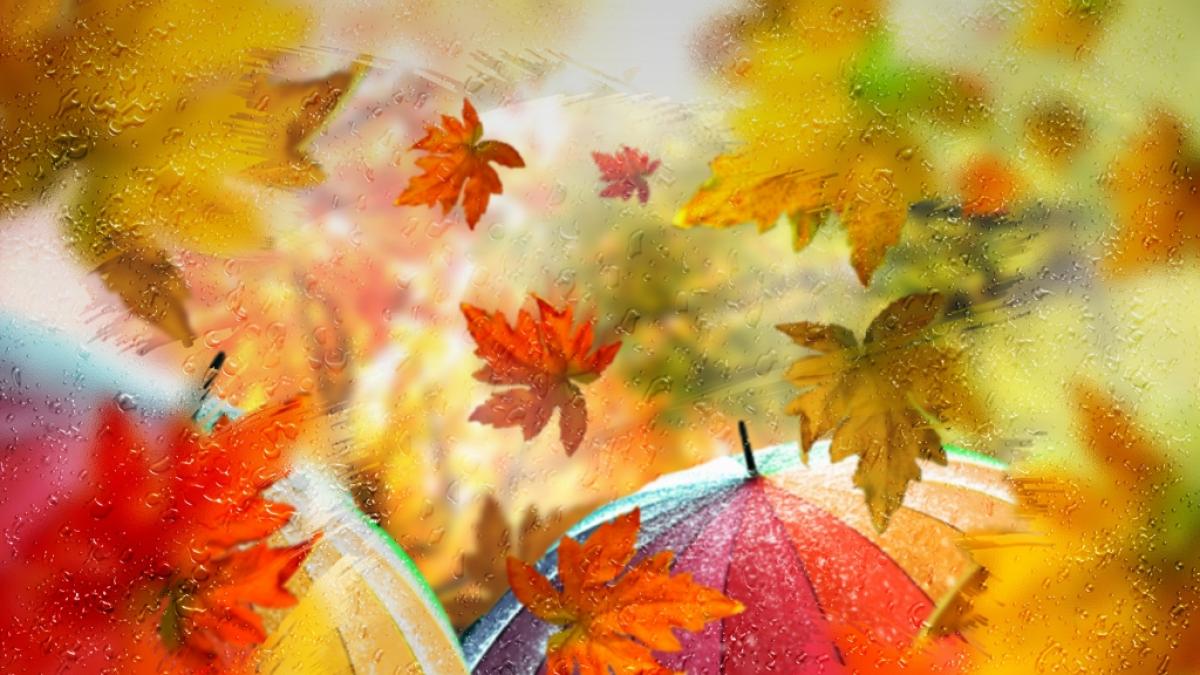 Droht Deutschland der erste Herbststurm? (Foto)