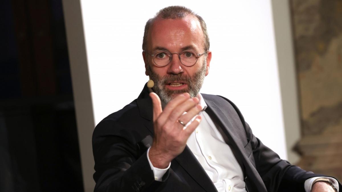 CSU-Vize Manfred Weber &uuml;bte in einem "Pfingstbrief" Kritik am aktuellen Kurs seiner Partei. (Foto)