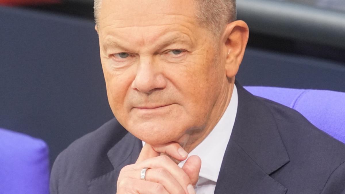 Ist Olaf Scholz der richtige Kanzlerkandidat f&uuml;r die SPD? (Foto)