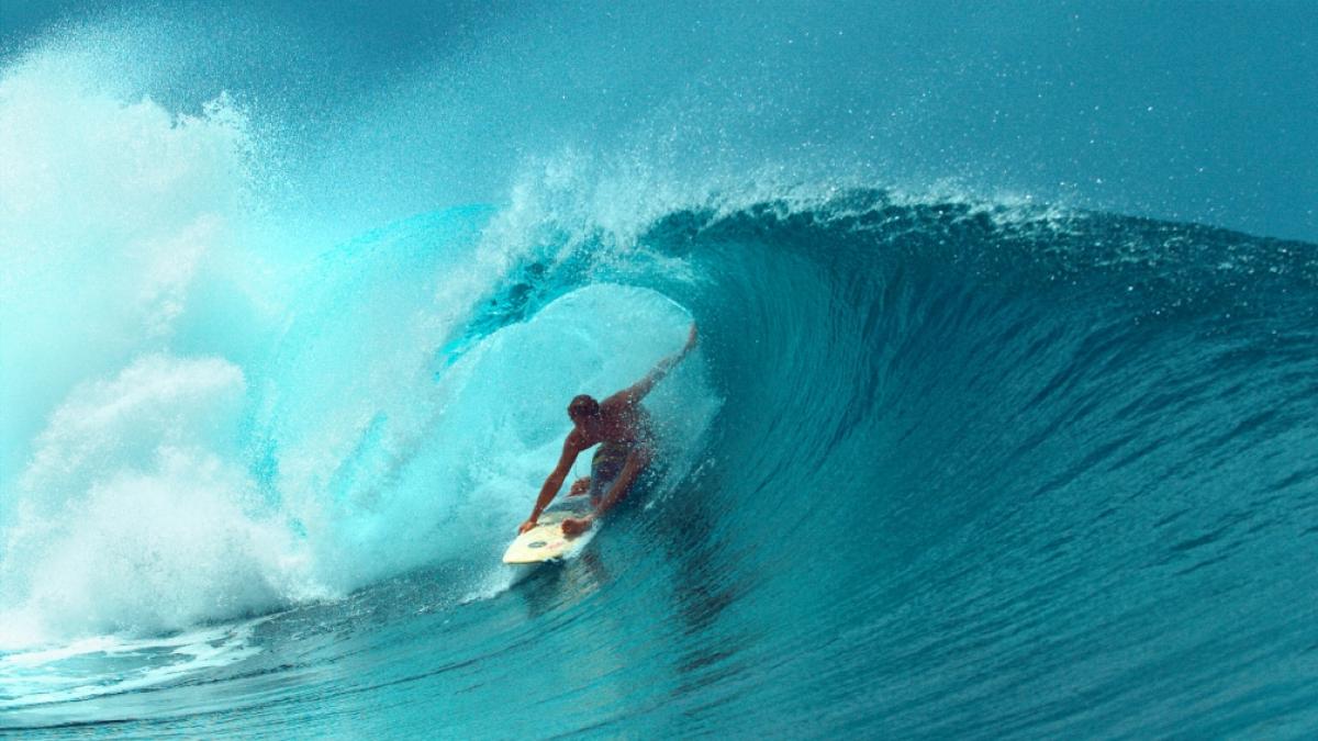 Von Surfer Robert F. fehlt jede Spur. Wurde er Opfer eines Haiangriffs? (Foto)