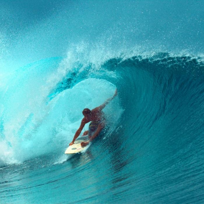 Surfbrett mit Biss-Spuren angespült! Fiel Robert einem Hai zum Opfer?