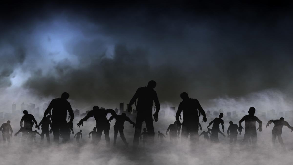 Hunde werden uns vor den Zombies warnen. (Foto)