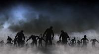 Hunde werden uns vor den Zombies warnen.