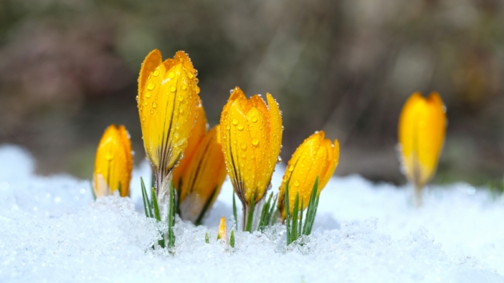 Kehrt der Winter noch einmal zurück?