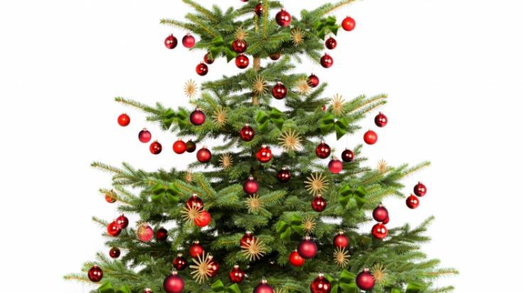 Den Sturz von einem Weihnachtsbaum aus mehreren Metern Höhe bezahlte ein Mann in Schottland mit dem Leben (Symbolbild).