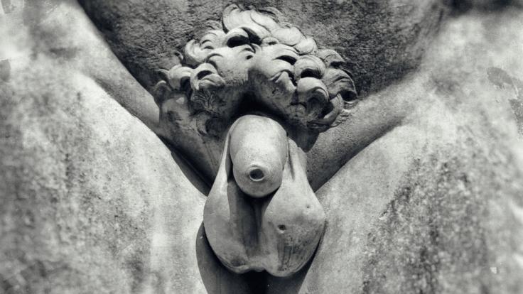 Pathologische Ossifikation kann eine Penis-Verknöcherung auslösen. (Symbolbild)