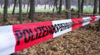 Eine Absperrband trennt ein Waldstück, das von der Polizei im Fall Rebecca untersucht wurde. Die Staatsanwaltschaft warnte Hobbydetektive, die Ermittlungen zu behindern.