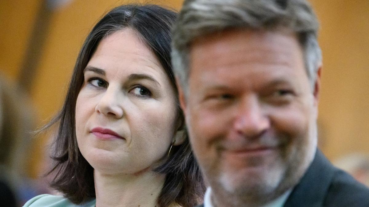 Annalena Baerbock und Robert Habeck polarisieren. (Foto)