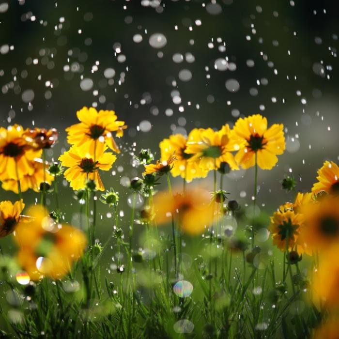 Keine Hitze in Sicht! Endet der Sommer vorzeitig?