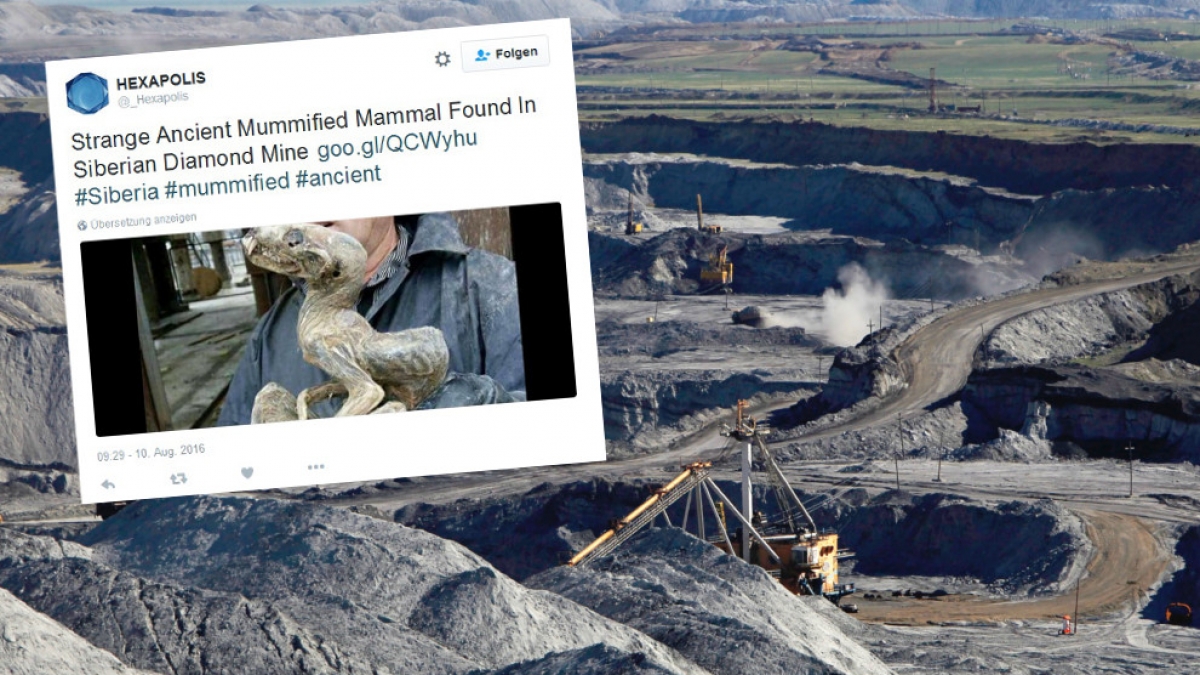Russische Bergleute entdecken eine mumifizierte Kreatur in der Mine. (Foto)