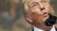 Donald Trump hat mit seiner Handelspolitik den Weltmarkt auf den Kopf gestellt. Andere Länder und Kontinente suchen nun nach Mittel und Wegen, ihre Interessen anderweitig zu vertreten.