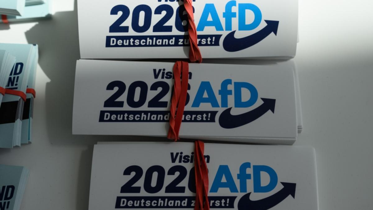 In aktuellen Umfragen l&auml;uft die AfD in gleich mehreren Punkten der Union den Rang ab. (Foto)