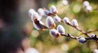 Der Frühling hält in Deutschland endlich Einzug.
