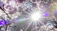Laut Wetter-Expert:innen wird es in den kommenden Tagen milde Temperaturen geben. Im Februar seien sogar bis zu 20 Grad drin.