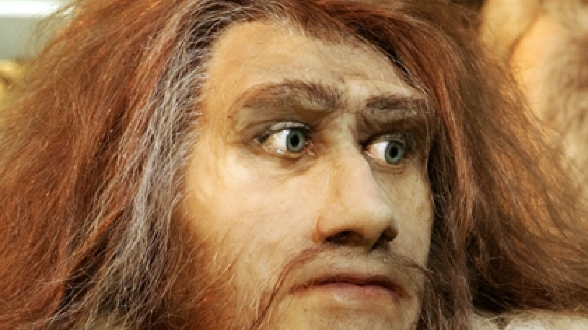 Neandertaler (Foto)