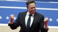 Elon Musk ist auf Immobiliensuche - vielleicht findet der Busenfreund von Donald Trump ja Gefallen an einer Burg im Harz?