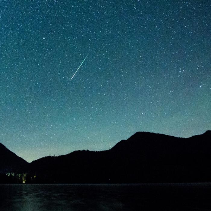 Sternschnuppen verzaubern den Nachthimmel