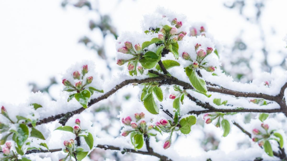 Macht das Wetter im April, was es will? (Foto)