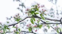 Macht das Wetter im April, was es will?
