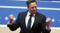 Elon Musk sorgt mit einem eigenwilligen Bild aus dem Weißen Haus für Wirbel.