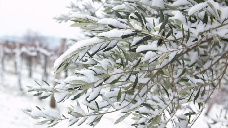 Griechenland droht Schnee und Eis.