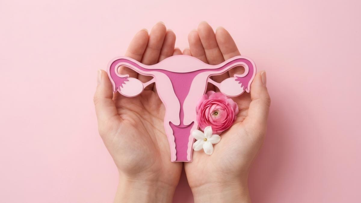 Was hilft gegen Bauchfett, Schlafprobleme und Co.? "Nobody Told Me" liefert Ern&auml;hrungstipps und Rezepte f&uuml;r Frauen in den Wechseljahren. (Foto)