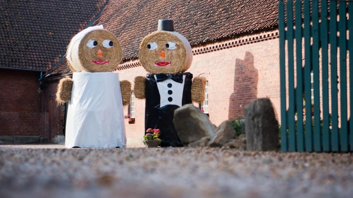 Bei der beliebten RTL-Show "Bauer sucht Frau" suchen Landwirte wieder ihre gro&szlig;e Liebe. (Foto)