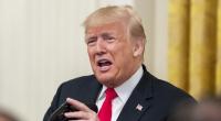 Donald Trumps radikale Einwanderungspolitik geriet nach den tödlichen Schüssen eines ICE-Beamten weiter in die Kritik.