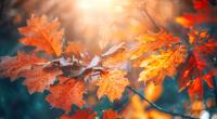 Wie wird das Wetter im September?